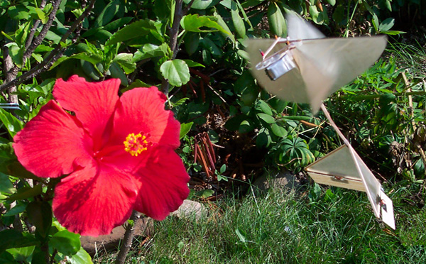 ornithopter hovering at flower